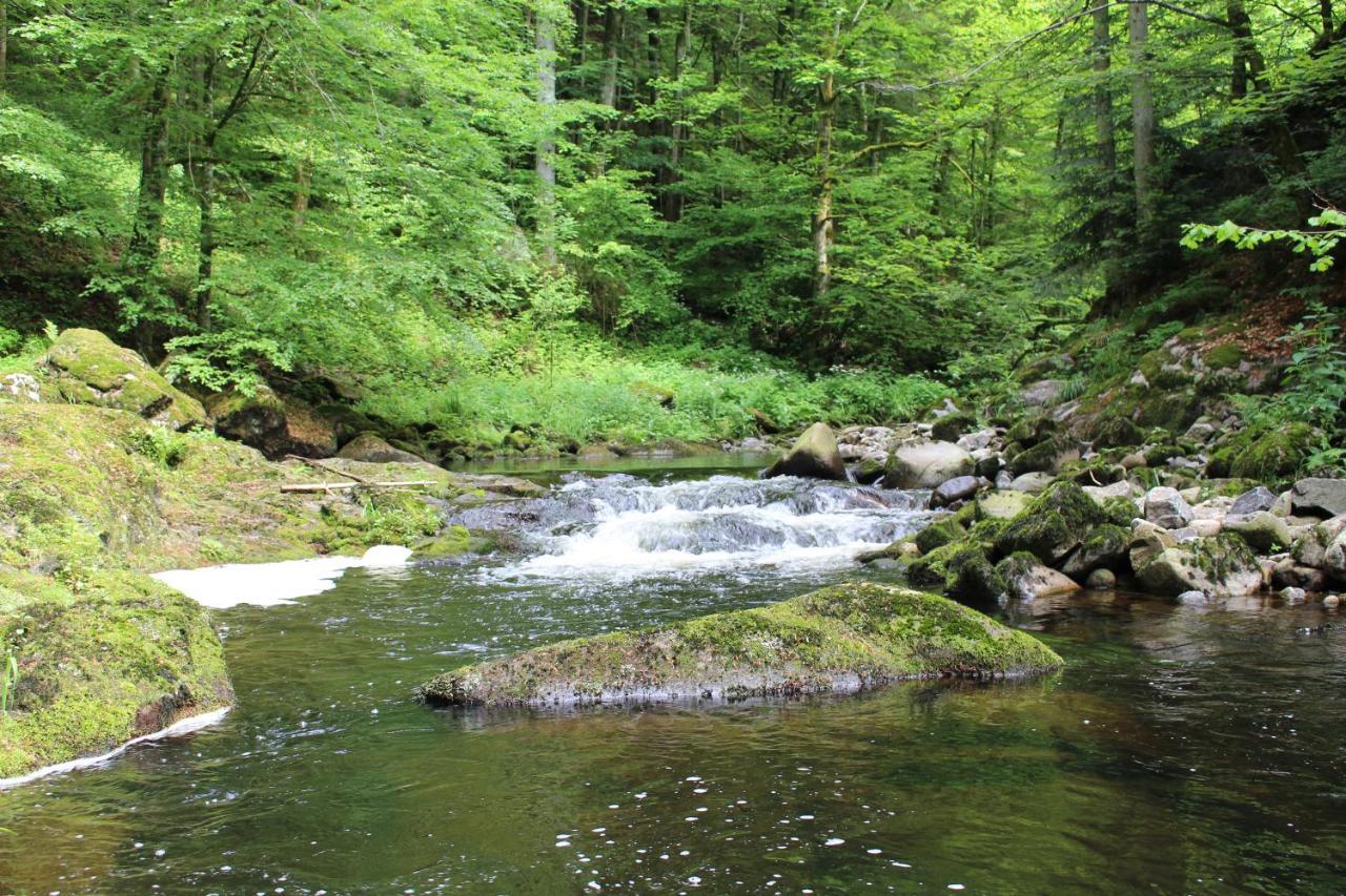 Ferienwohnung Hofleben Reiner Neukirchen vorm Wald المظهر الخارجي الصورة